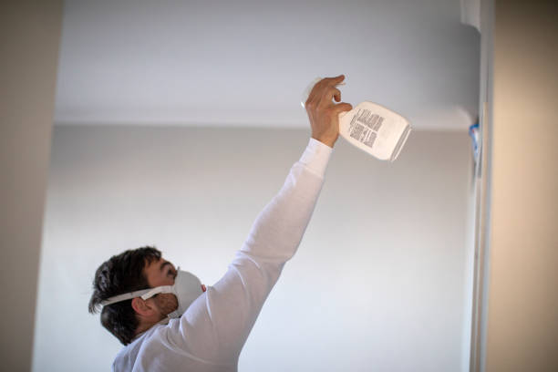 Mold Removal and Inspection in State College, PA